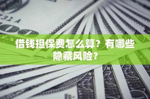 武汉借钱担保费怎么算？有哪些隐藏风险？