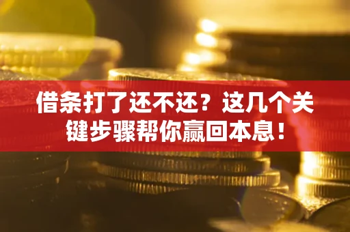 武汉借条打了还不还？这几个关键步骤帮你赢回本息！